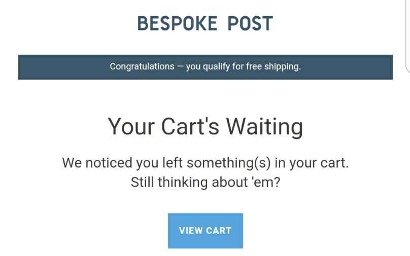 Bespoke Logo and Copy combo for abandoned cart emails